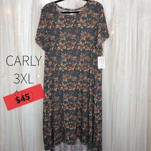 LuLaRoe Carly Dress 3XL